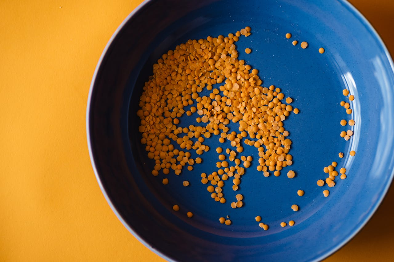 Close-up of dried orange lentils scattered in a blue bowl on a yellow background.